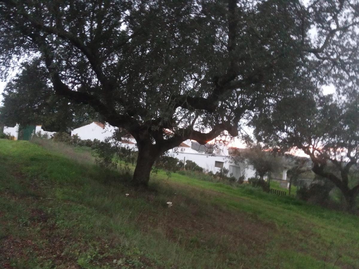 Monte Da Samarra Villa Aviz Luaran gambar