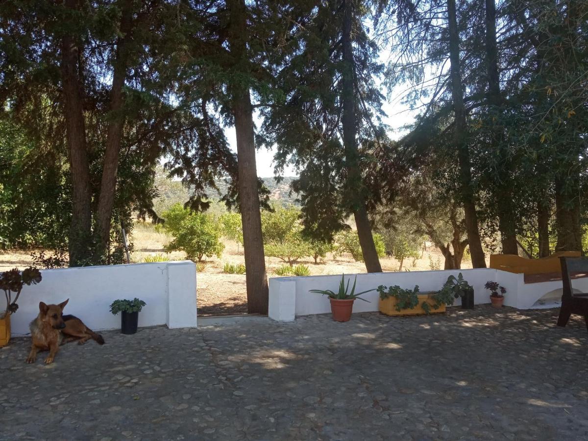 Monte Da Samarra Villa Aviz Luaran gambar