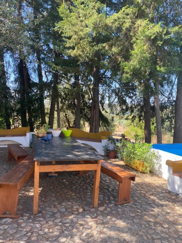Monte Da Samarra Villa Aviz Luaran gambar