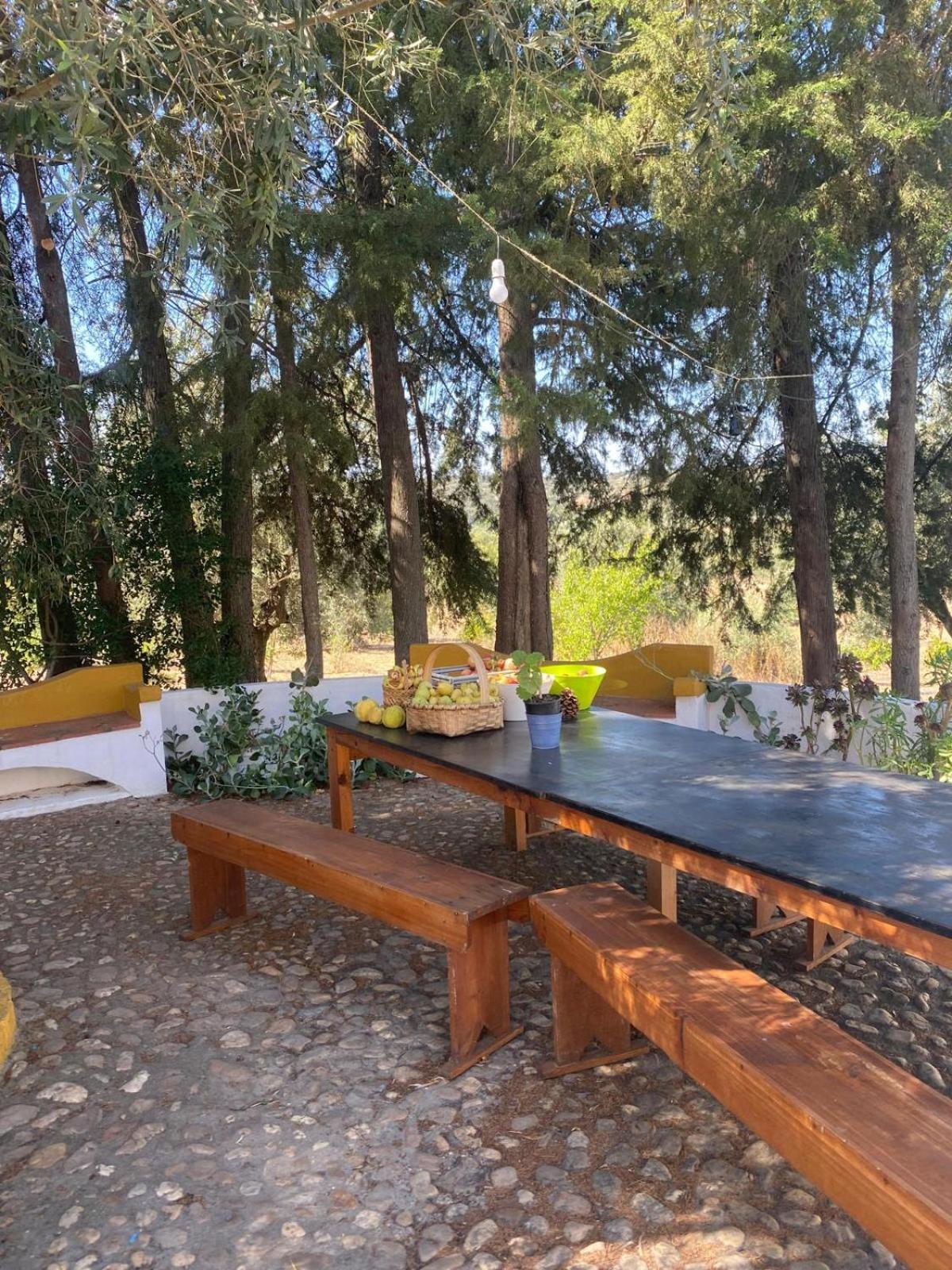 Monte Da Samarra Villa Aviz Luaran gambar