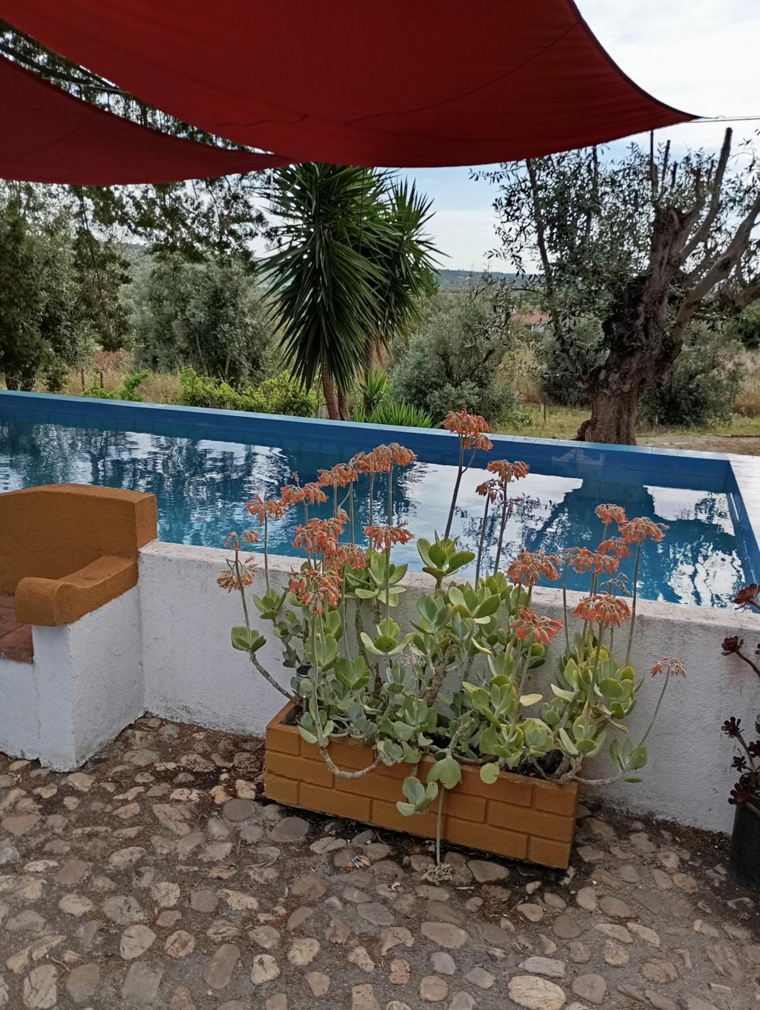 Monte Da Samarra Villa Aviz Luaran gambar